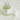 Calming Serum : Green Tea + Panthenol - Kosmetics & Koffee